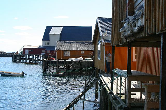 Norwegia (952).JPG - Lofoty - wyspa Moskenes (Tind)